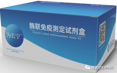 The first in China! The kit used by Shenzhen Shengpol Life Technology for the detection of gastrointestinal organic lesions has obtained the European Union CE certification